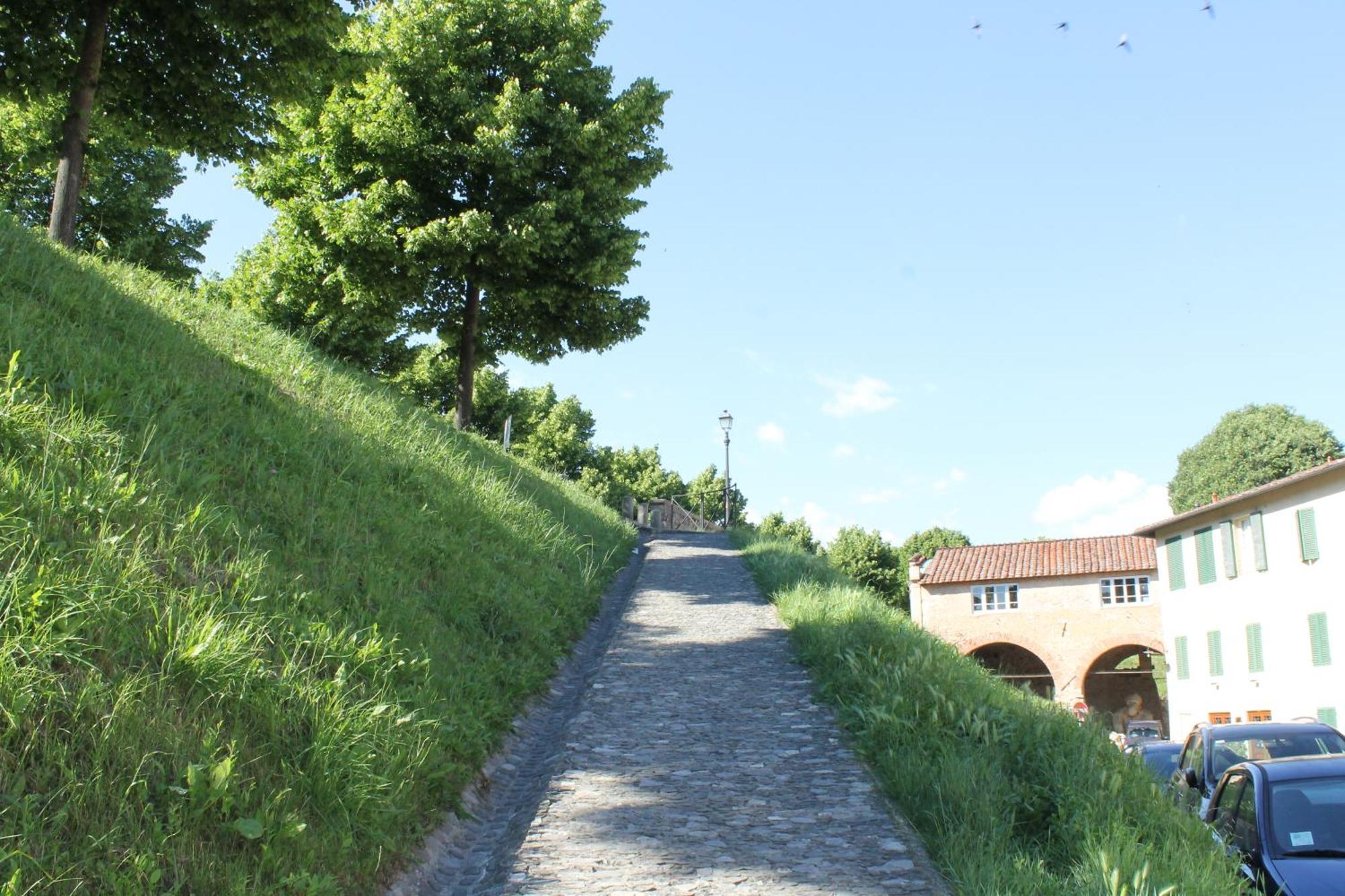 Appartamento Via Delle Conce Lucca Exterior photo